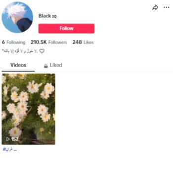 210K Blank Empty Tiktok Account for sale