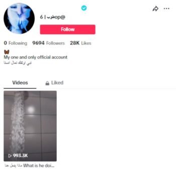 28K Verified Tiktok Account for sale
