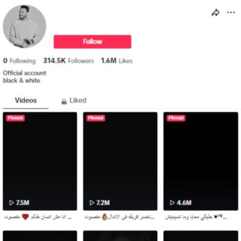 300K Love Poetry TikTok Account for sale