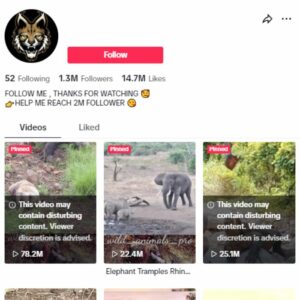1.3M Wildlife Animals TikTok Account for sale