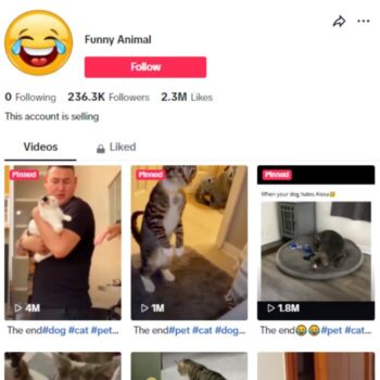 230K Cats Pets TikTok Account for sale