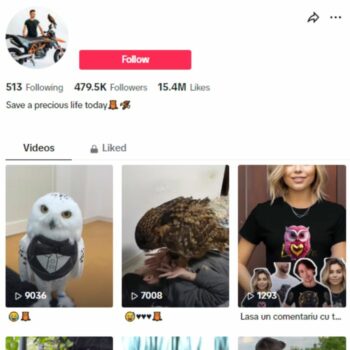 470K Birds Wildlife TikTok Account for sale