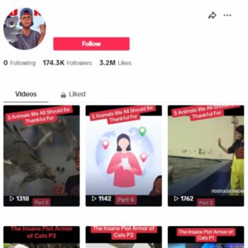170K Animal Wildlife TikTok Account for sale