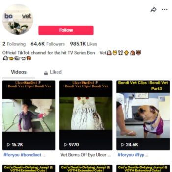 60K Pets Veterinarian TikTok Account for sale