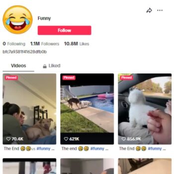 1.1M Pets Dogs Cats TikTok Account for sale