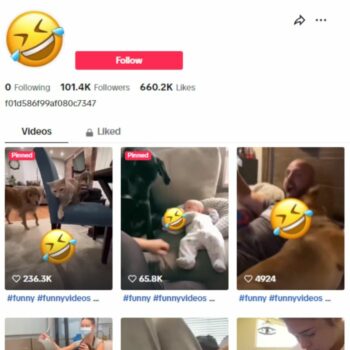 100K Funny Pets Dogs TikTok Account for sale