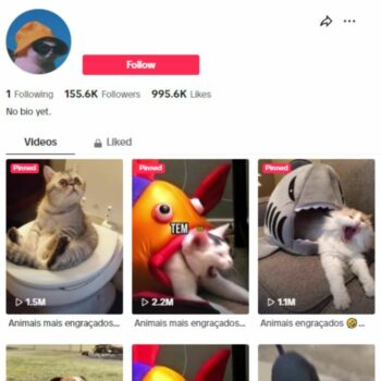 150K Pet Cats & Dogs TikTok Account for sale