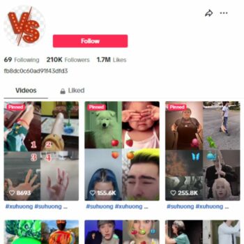 210K Trends Entertainment Tiktok Account for sale