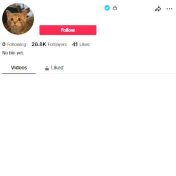 28K Verified Tiktok Account for sale