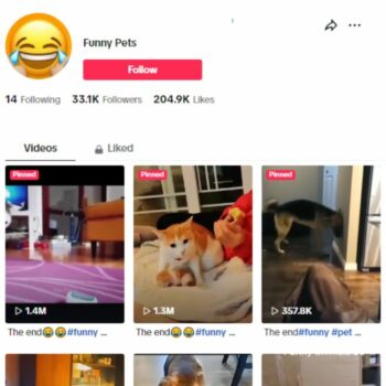30K Funny Pets Dogs TikTok Account for sale