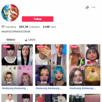 380K Entertainment Collab Tiktok Account for sale