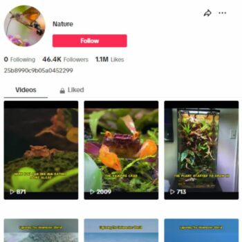 45K Fish Marine Life TikTok Account for sale
