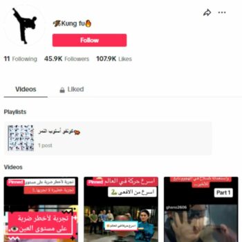 45K Kung Fu Movies TikTok Account for sale