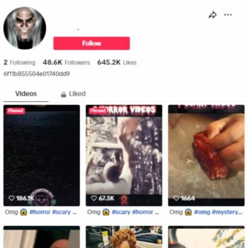 45K Scary Horror TikTok Account for sale