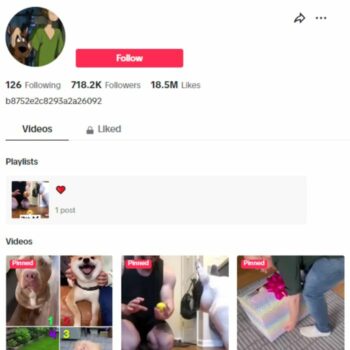 710K Pets Dogs TikTok Account for sale