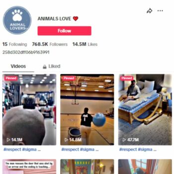 760K Pets Animals TikTok Account for sale