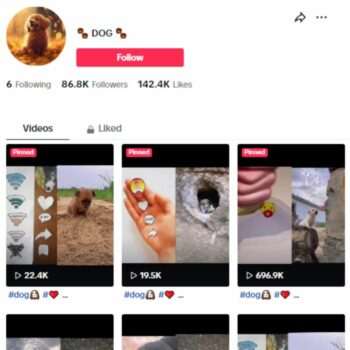 85K Pets Dogs TikTok Account for sale