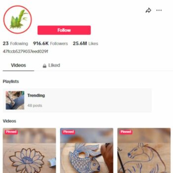 900K Entertainment FYP Tiktok Account