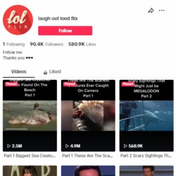 90K Fish Animals TikTok Account for sale