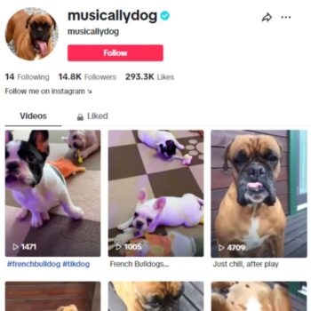 14K Verified Tiktok Account for sale