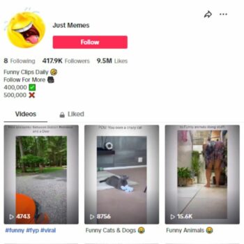 410K Funny Pets Dogs TikTok Account for sale