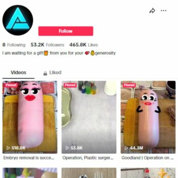 50K Funny Animation Tiktok Account for sale