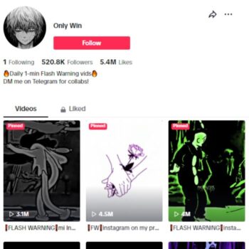 540K Music Entertainment Tiktok Account for sale