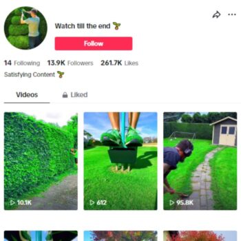 13K Satisfying Gardening TikTok Account for sale
