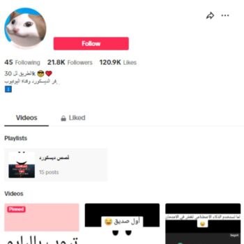 20K Memes Comedy TikTok Account for sale