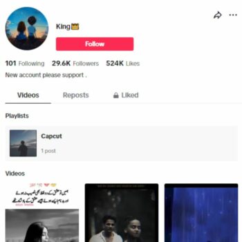 29K Love Poetry with Creator Rewards Program TikTok Account for sale