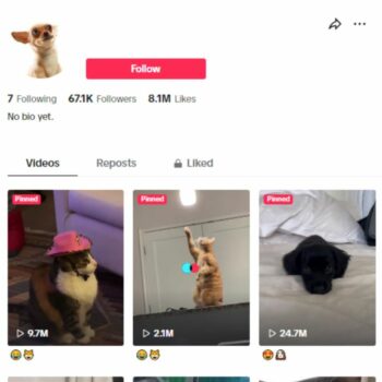 65K Pet Cats & Dogs TikTok Account for sale
