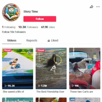 10K Dogs Pets TikTok Account for sale