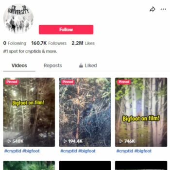200K Mystery Bigfoot Tiktok Account for sale