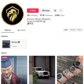 11K Business Motivation Tiktok Account for sale