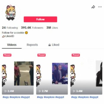 390K Memes Entertainment TikTok Account for sale