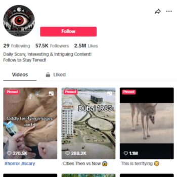 55K Entertainment Horror TikTok Account for sale