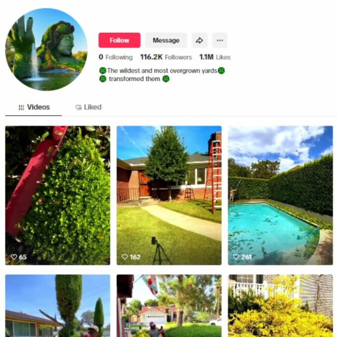 115K Satisfying Gardening TikTok Account for sale