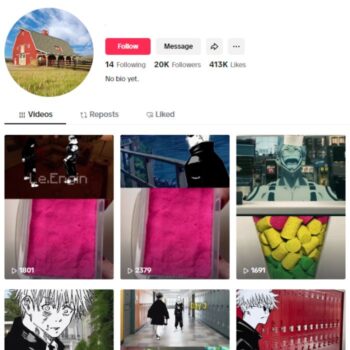 20K Anime Memes TikTok Account for sale