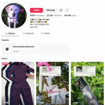 20K Products Technology Tiktok account for sale