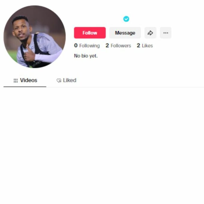 Verified Tiktok Account for sale