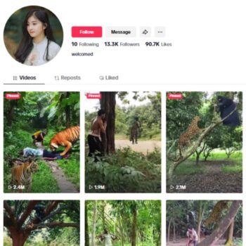 13K Wildlife Animal TikTok Account for sale