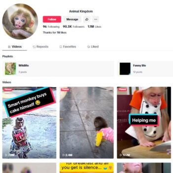 90K Animal Monkey TikTok Account for sale