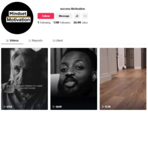 1.1M Entertainment Random TikTok Account for sale