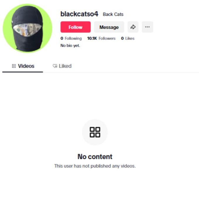10K Blank TikTok Account for sale