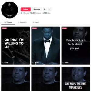 145K Success Motivation TikTok Account for sale