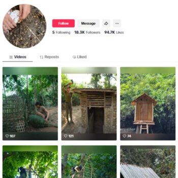 18K Treehouse Construction TikTok Account for sale
