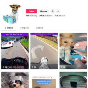 20K Pets Dogs TikTok Account for sale