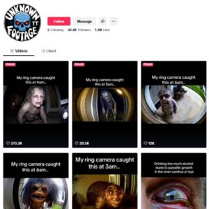 40K Entertainment Horror TikTok Account for sale