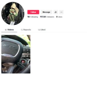 110K Blank TikTok Account for sale
