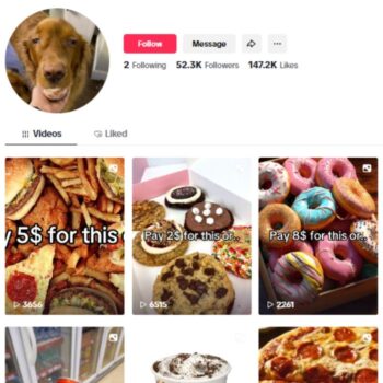 50K Pets Story Tiktok Account for sale